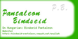 pantaleon bindseid business card